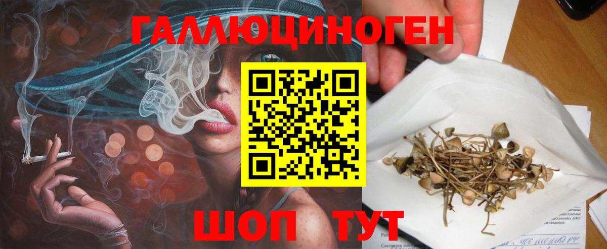 Галлюциногенные грибы Cubensis Саяногорск